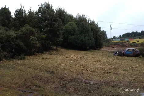 Property photo of 69 Ritchie Street Waratah TAS 7321