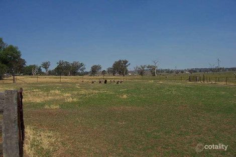 Property photo of 53 King George V Avenue Merriwa NSW 2329