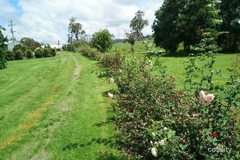 Property photo of 1312 Dungog Road Wallarobba NSW 2420