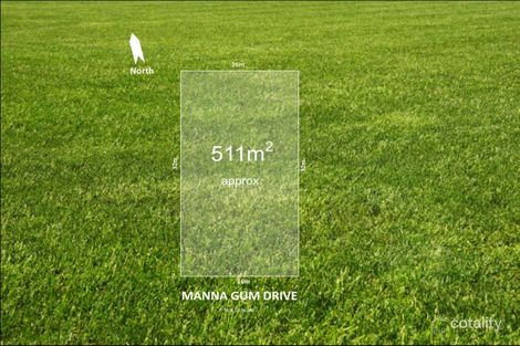 41 Manna Gum Dr, Mount Duneed, VIC 3217