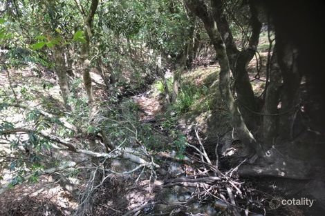 Property photo of 693 Alison Road Alison NSW 2420