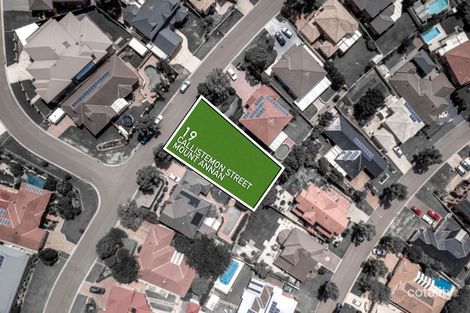 Property photo of 19 Callistemon Street Mount Annan NSW 2567