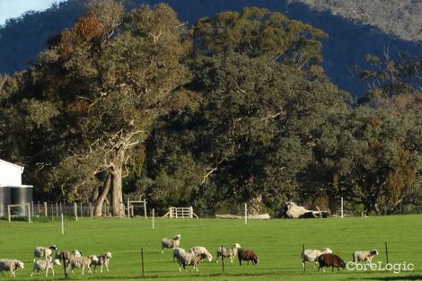 Property photo of 215 Schoolhouse Lane Tallarook VIC 3659