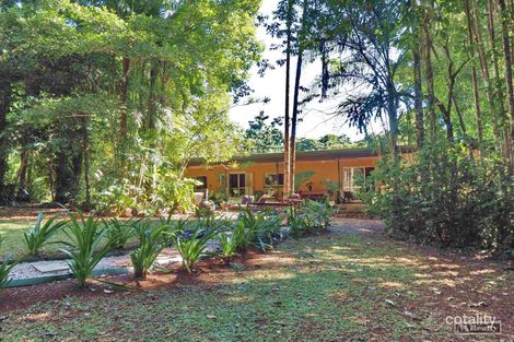 Property photo of 49 Spandley Road Camp Creek QLD 4871