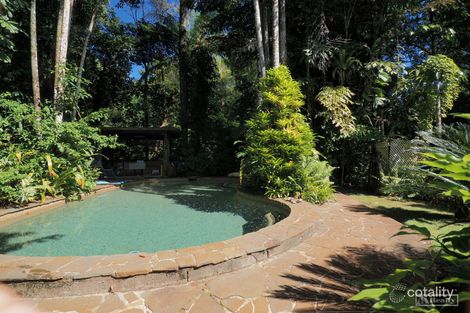 Property photo of 49 Spandley Road Camp Creek QLD 4871