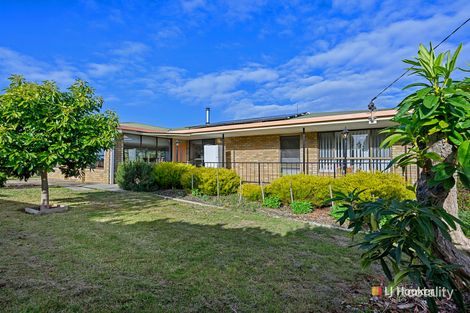 1091 Murchison Hwy, Elliott, TAS 7325