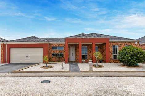 Property photo of 25 Pimelea Terrace St Albans VIC 3021