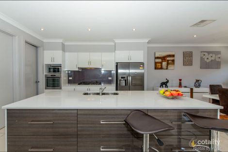 Property photo of 14 Rozells Avenue Lightsview SA 5085