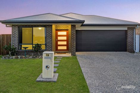 Property photo of 14 Corvus Court Bahrs Scrub QLD 4207