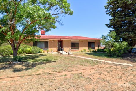 23 South Tce, Pinnaroo, SA 5304