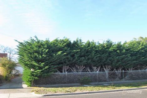 Property photo of 16 Alma Street Malvern East VIC 3145