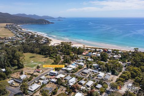 Property photo of 14 Cumming Street Sisters Beach TAS 7321