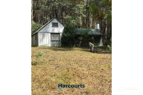 9020 Mansfield-Woods Point Rd, Woods Point, VIC 3723