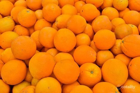 187 Iraak Lake Rd, Iraak, VIC 3494