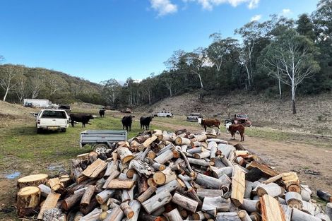 657 Newfoundland Rd, Bannaby, NSW 2580