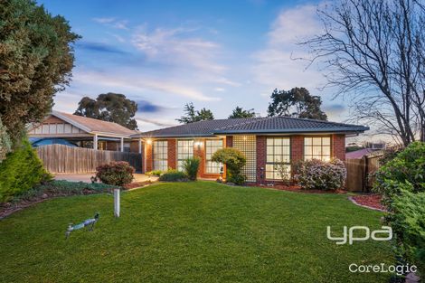 Property photo of 21 Abelia Court Sunbury VIC 3429