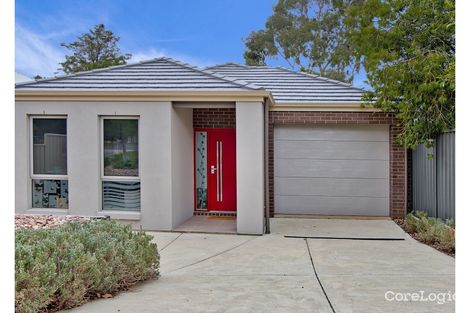 Property photo of 3 Oakleigh Avenue Magill SA 5072