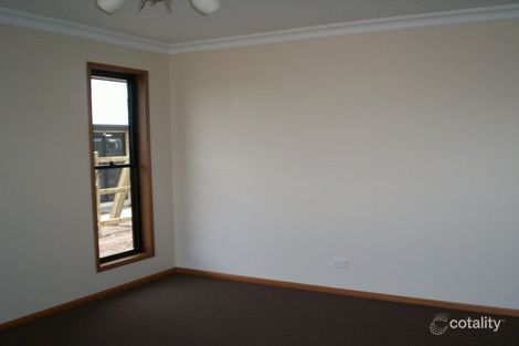 Property photo of 12 Alexia Street Pittsworth QLD 4356