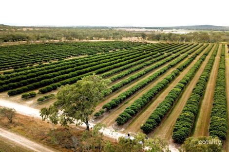 403 Springmount Rd, Mutchilba, QLD 4872