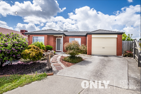 16 Bellbrae Cres, Cranbourne West, VIC 3977