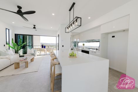 Property photo of 23 Spring Crescent Keperra QLD 4054