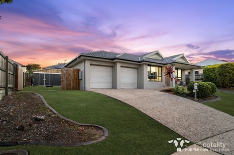 Property photo of 12 Orchard Crescent Springfield Lakes QLD 4300