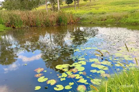 Property photo of 4411 Bruxner Highway Piora NSW 2470