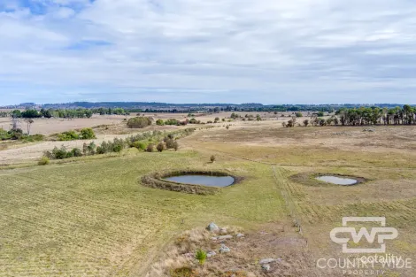 172 Hazelwood Rd, Stonehenge, NSW 2370