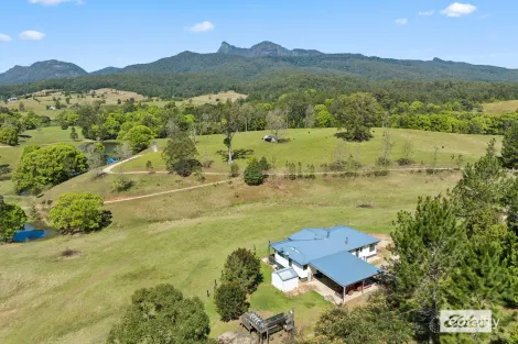 5 Charbray Pl, Tyalgum, NSW 2484