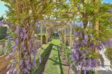 Property photo of 14 Riverview Rise Gol Gol NSW 2738