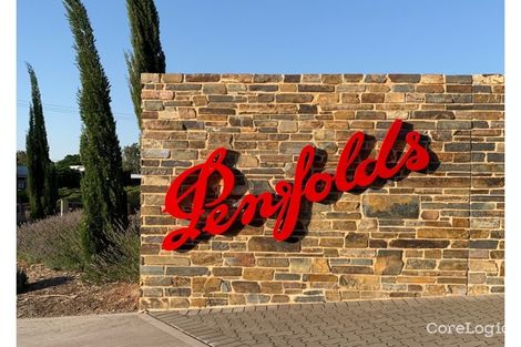 Property photo of 3 Oakleigh Avenue Magill SA 5072