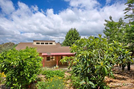 Property photo of 39 Cook Road Wentworth Falls NSW 2782