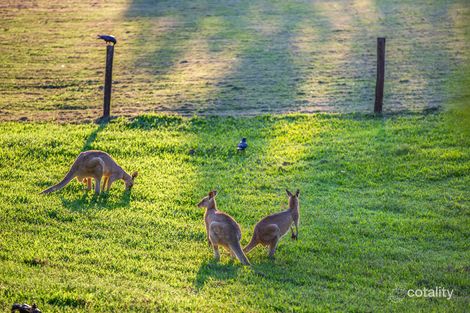 Property photo of 106 Jensen Road Ninderry QLD 4561