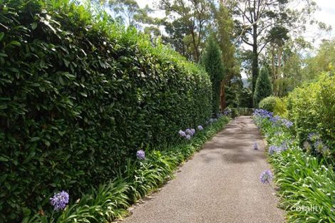 Property photo of 6C Hamilton Avenue Bowral NSW 2576