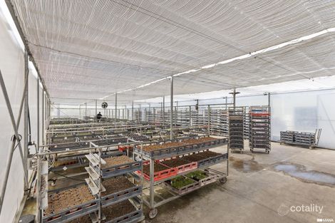 67 Howards Rd, Burringbar, NSW 2483