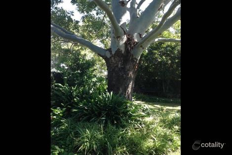 Property photo of 109 Fifth Avenue South Narromine NSW 2821