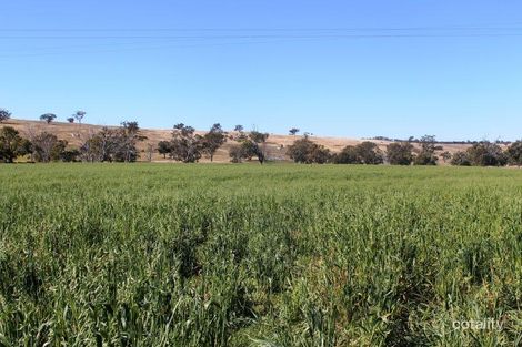 1080 Idaville Rd, Merriwa, NSW 2329