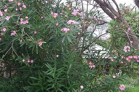 3 Stewart St, Crescent Head, NSW 2440