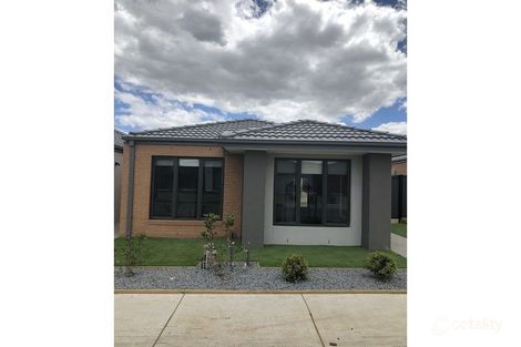 Property photo of 3 Olivetree Loop Craigieburn VIC 3064