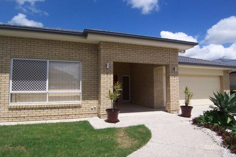 Property photo of 45 Lillydale Street Carseldine QLD 4034