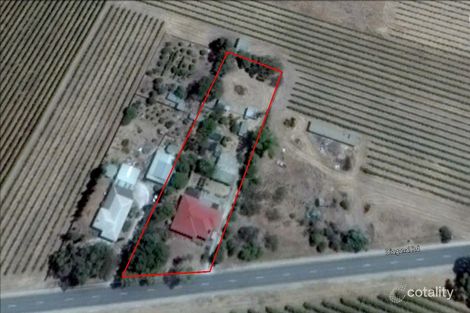 367 Diagonal Rd, Angaston, SA 5353