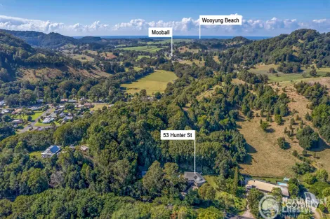 Property photo of 53 Hunter Street Burringbar NSW 2483