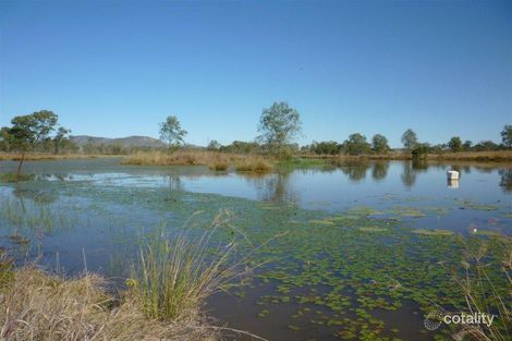Property photo of 372 Cherryfield Road Gracemere QLD 4702