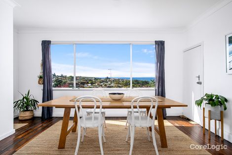 Property photo of 29 Knox Street Clovelly NSW 2031