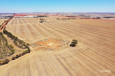 1053 Burns Rd, North Lake Grace, WA 6353