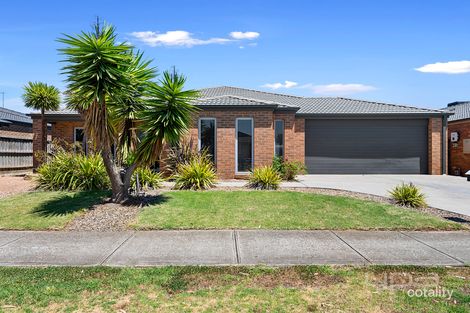 17 Dianella Ct, Brookfield, VIC 3338