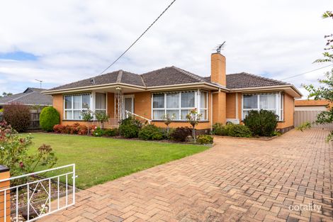 Property photo of 31 Tahara Street Hamlyn Heights VIC 3215