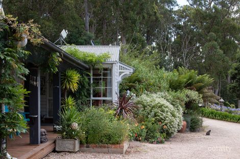 Property photo of 115 Wildlife Road Claude Road TAS 7306