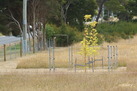 356 Clarence Point Rd, Clarence Point, TAS 7270