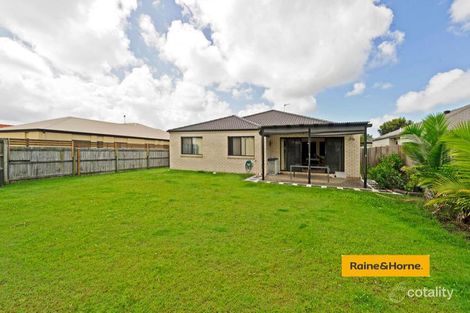 Property photo of 43 Murchison Street Pacific Pines QLD 4211